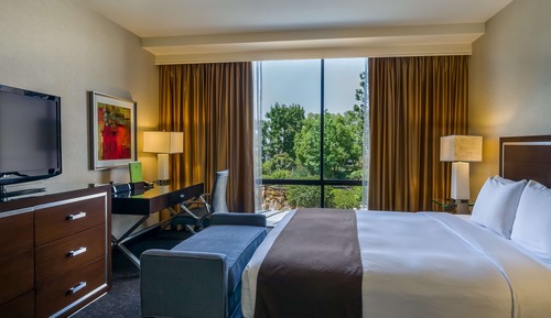 Suite, 1 King Bed, Garden View