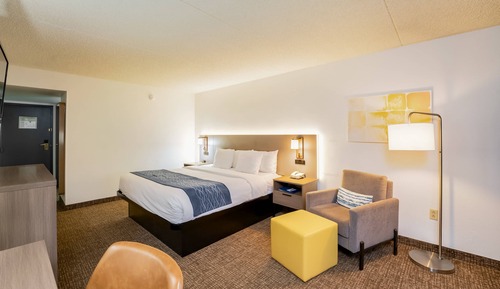Room, 1 King Bed, Accessible, Non Smoking (Roll-In Shower)