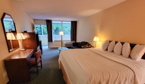 Standard Room, 1 King Bed, Non Smoking