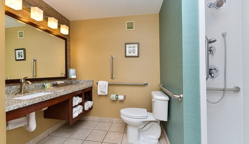 Standard Room, 1 King Bed, Accessible (Mobility Roll-In Shower)