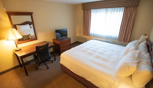 Standard Single Room, 1 King Bed, Non Smoking