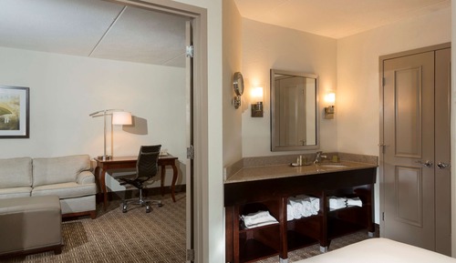 Standard Suite, 1 King Bed with Sofa bed