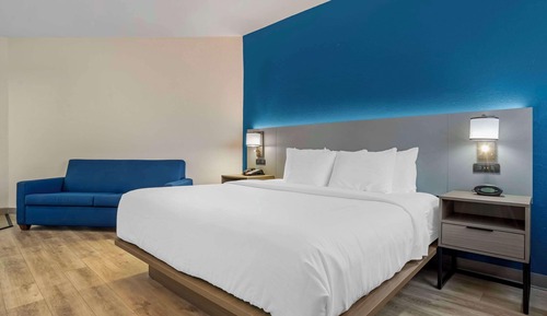 Suite, 1 King Bed with Sofa bed, Non Smoking, Jetted Tub (Upgrade)
