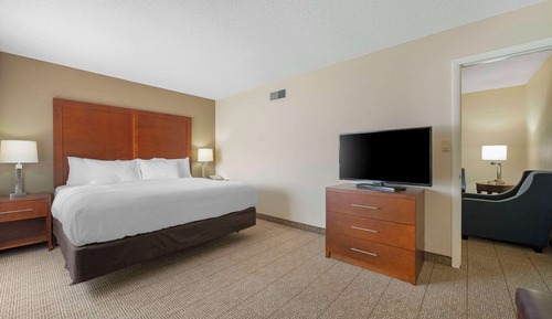 Suite, 1 King Bed with Sofa bed, Non Smoking