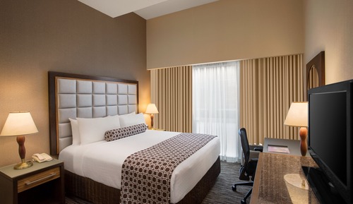 Standard Room, 1 King Bed, Roll-in Shower (Mobility, Roll-In Shower)