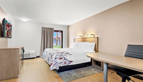 Superior Room, 1 King Bed, Non Smoking