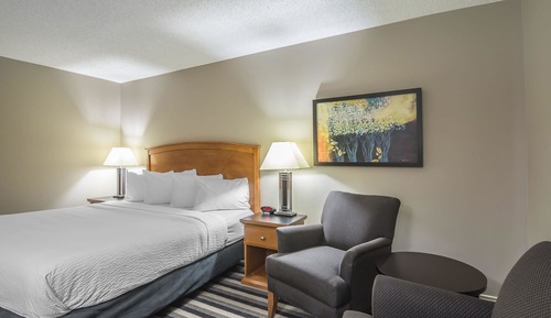Business Room, 1 King Bed