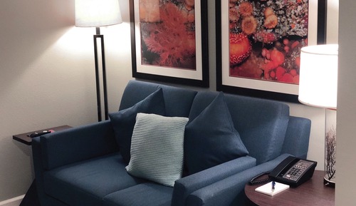 Executive Suite, 1 King Bed, Fireplace
