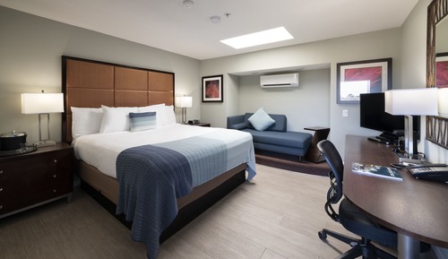 Standard Room, 1 King Bed, Fireplace