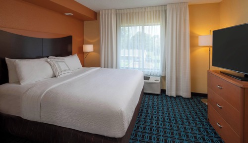 Room, 1 King Bed with Sofa bed