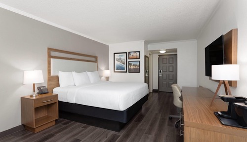 Room, 1 King Bed, Non Smoking