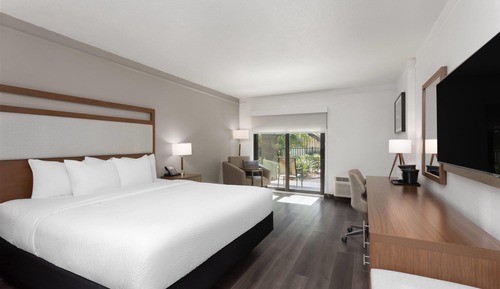 Deluxe Room, 1 King Bed, Non Smoking, Pool View
