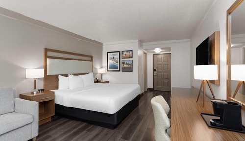 Room, 1 King Bed with Sofa bed, Non Smoking