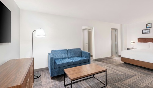 Suite, 1 King Bed with Sofa bed
