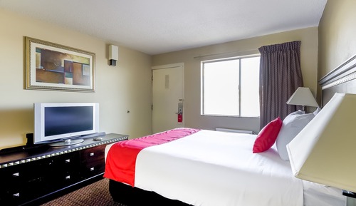 Room, 1 Queen Bed