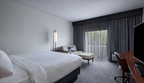 Room, 1 King Bed with Sofa bed (Mobility Accessible, Roll-In Shower)