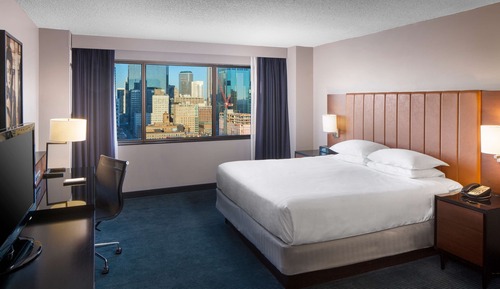 Room, 1 King Bed, Accessible (Shower)