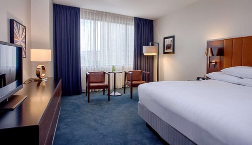 Room, 1 King Bed, Accessible, Bathtub
