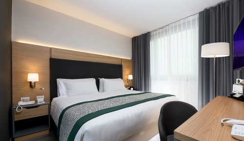 Suite, 1 King Bed with Sofa bed