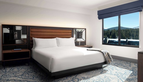 Suite, 1 Bedroom