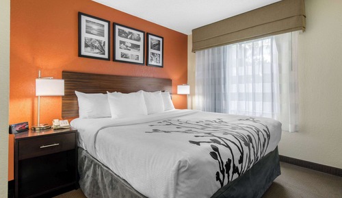 Standard Room, 1 King Bed, Non Smoking