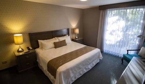 Suite, 1 King Bed