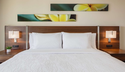 Standard Room, 1 King Bed, Accessible (Hearing)