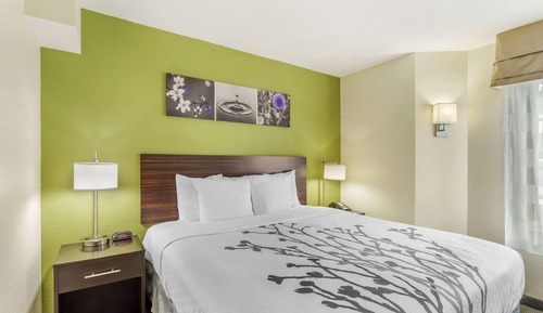 Room, 1 King Bed, Non Smoking