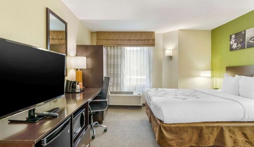Room, 1 Queen Bed, Non Smoking