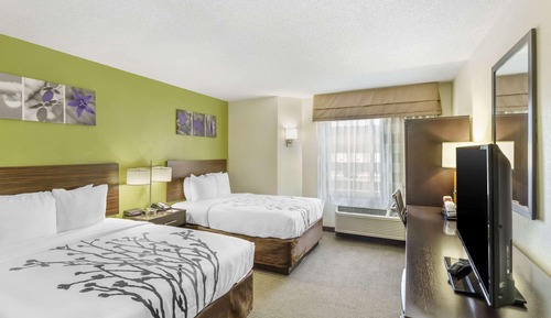 Standard Room, 2 Double Beds, Non Smoking