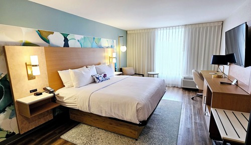Room, 1 King Bed, Accessible, Non Smoking (Mobility, Roll-In Shower)