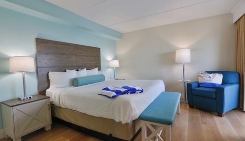 Suite (Best Value, No Balcony, No View)