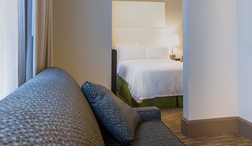 Suite, 1 King Bed with Sofa bed