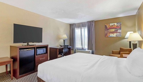 Standard Room, 1 King Bed, Non Smoking (No Pets)