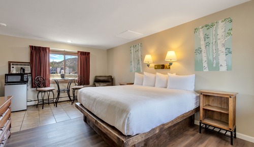 Economy Room, 1 King Bed (some pet friendly)
