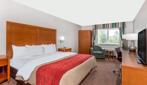 Room, 1 King Bed, Non Smoking