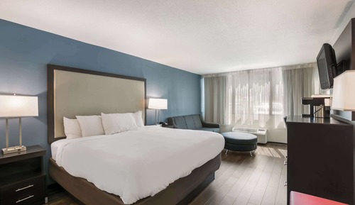 Standard Room, 1 King Bed with Sofa bed, Non Smoking