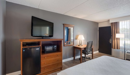 Standard Room, 1 King Bed, Non Smoking, Refrigerator & Microwave (Pet Friendly)