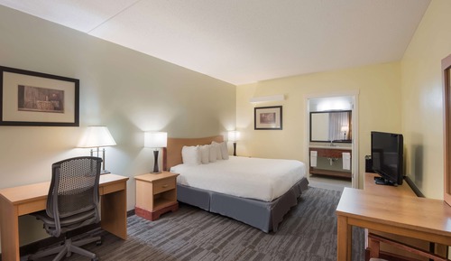 Standard Room, 1 King Bed, Non Smoking, Refrigerator & Microwave