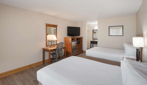 Standard Room, 2 Double Beds, Non Smoking, Refrigerator & Microwave (Pet Friendly)