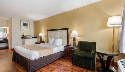 Standard Room, 1 King Bed, Non Smoking