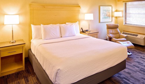 Premium Room, 1 King Bed, Non Smoking
