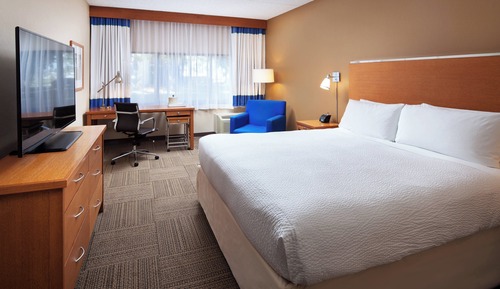 Room, 1 King Bed, Non Smoking (Mobility Accessible, Roll-In Shower)
