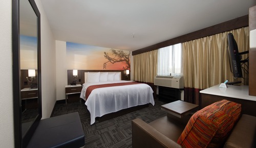 Suite, 1 Bedroom