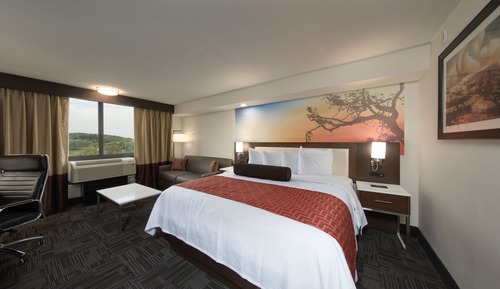 Standard Room, 1 King Bed with Sofa bed
