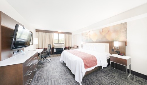 Suite, 1 Bedroom