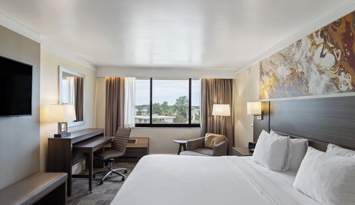 Standard Room, 1 King Bed, Mobility Accessible, Pool View (Mobility)