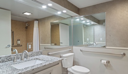 Standard Room, 1 King Bed, Mobility Accessible (Communications)