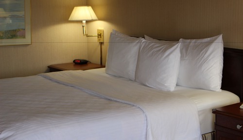 Presidential Suite, 1 King Bed, Fireplace, Jacuzzi