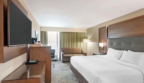 Standard Room, 1 King Bed, Accessible, Refrigerator